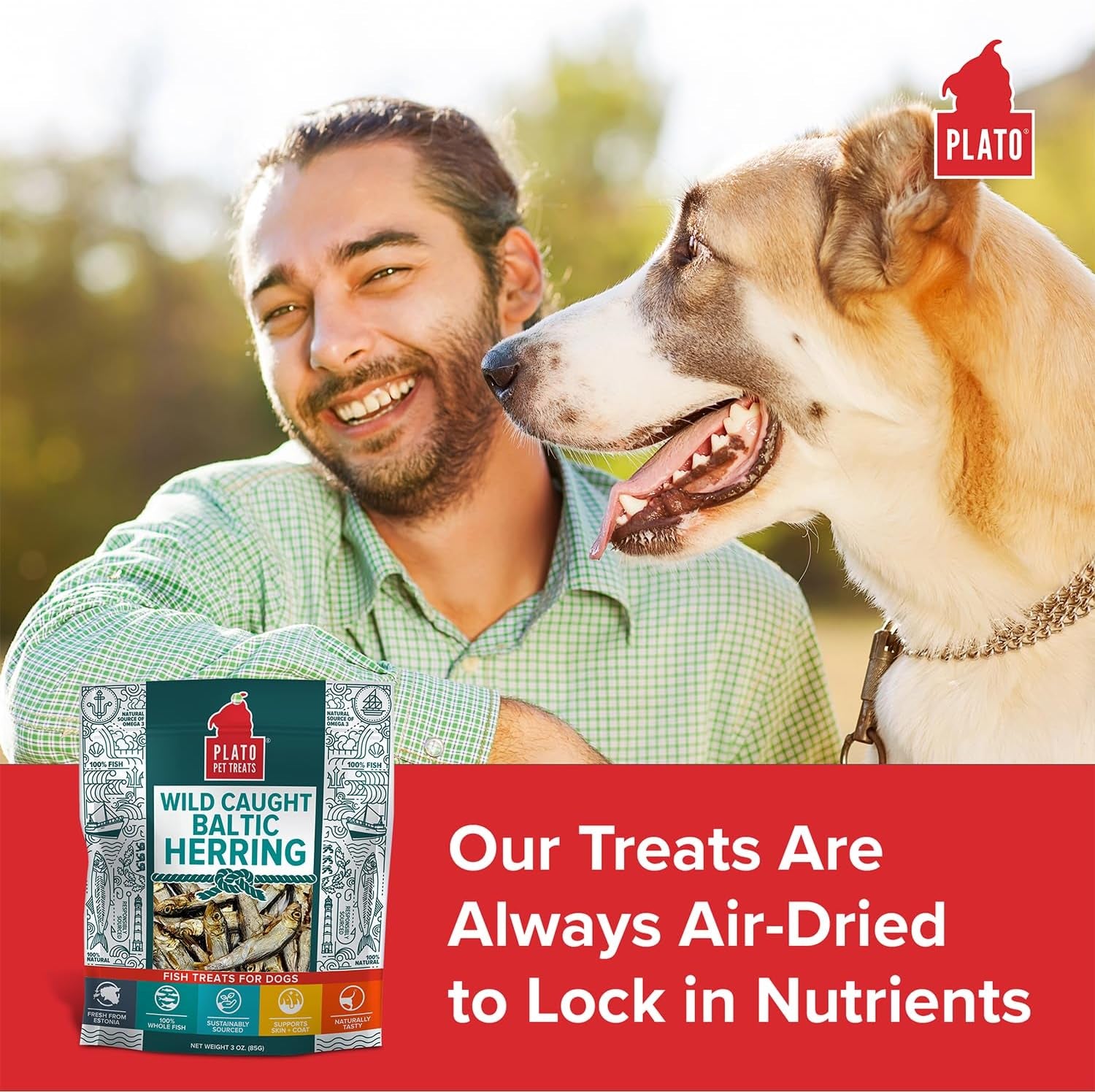 plato-pet-treats-fish-dog-treats-air-dried-single-ingredient-pet-treat-omega-3-6-fatty-acids-to-support-skin-and-coat-100-whole-fish-wild-caught-baltic-herring-3oz-2-pack