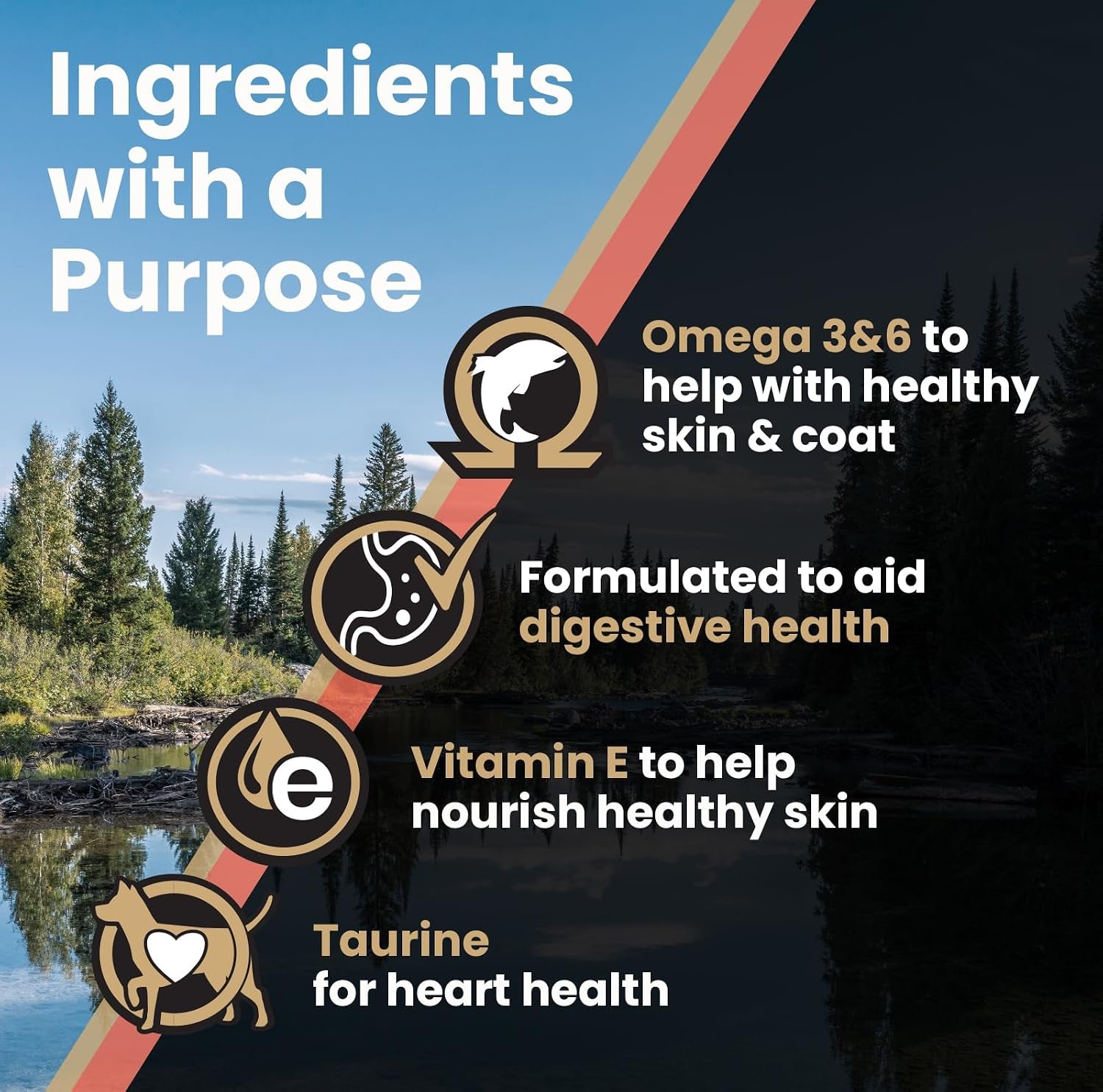 victor-super-premium-dog-food-sensitive-skin-and-stomach-salmon-meal-brown-rice-recipe-dry-kibble-gluten-free-no-chicken-ideal-for-dogs-with-allergies-adult-and-puppy-food-5-lb