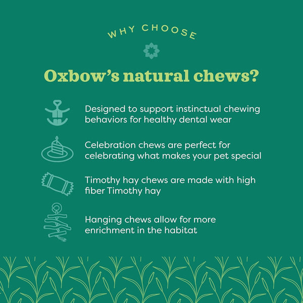 Oxbow Crunchy Carrot, Rabbit & Guinea Pig Toy, Bunny Enrichment Chew Toy | Oxbow Enriched Life, Rabbit Chew Toys, Guinea Pig Enrichment, Guinea Pig Chew Toys, Rabbit Enrichment, Natural Materials4