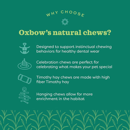 Oxbow Timothy Hay Carrot, Rabbit & Guinea Pig Toys, Bunny Enrichment Toys | Rabbit Chew Toys, Guinea Pig Enrichment, Guinea Pig Chew Toys, Rabbit Enrichment, Natural Materials, Small Pet Accessories3