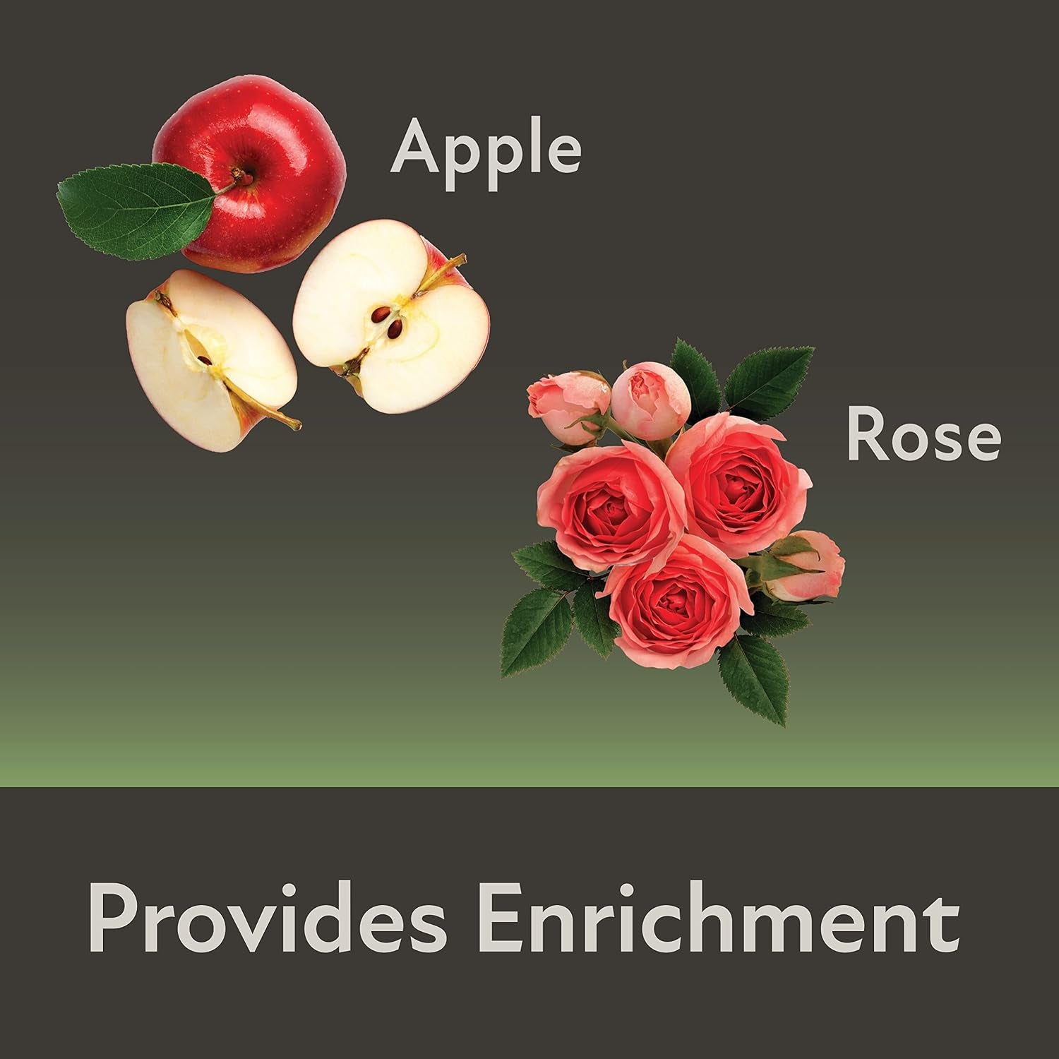 kaytee-field-forest-mini-hay-bales-apple-and-rose-2-pack-7-ounces