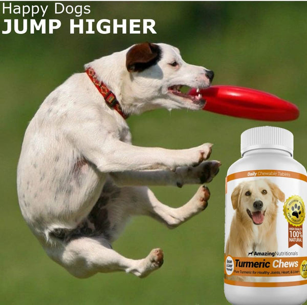 Amazing Turmeric for Dogs Curcumin Pet Antioxidant, Eliminates Joint Pain Inflammation, 120 Chews3