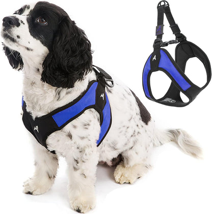 Gooby - Escape Free Easy Fit Harness, Small Dog Step-In Harness for Dogs That like to Escape Their Harness, Turquoise, Small8