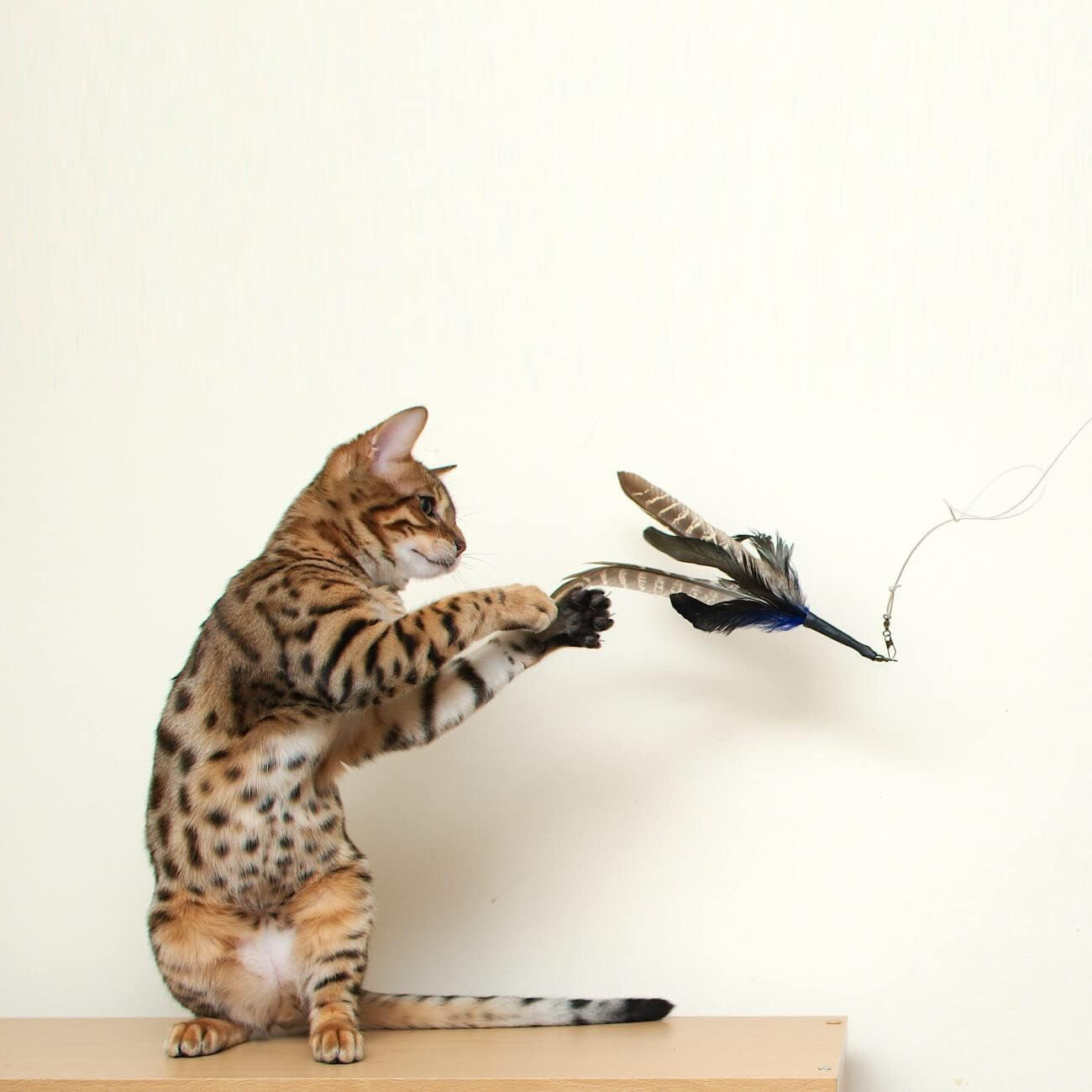 gocat-da-bird-rod-and-feather-cat-toy-handmade-in-the-usa-1-bird