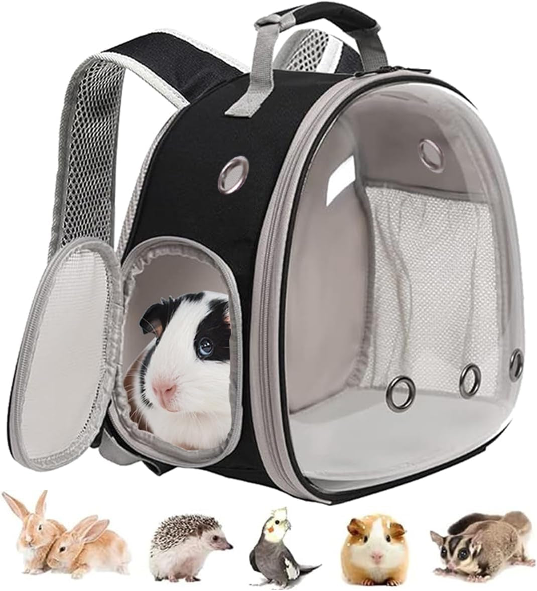 guinea-pig-carrier-backpack-clear-bubble-window-backpack-for-guinea-pig-bunny-rat-bird-black-carrier