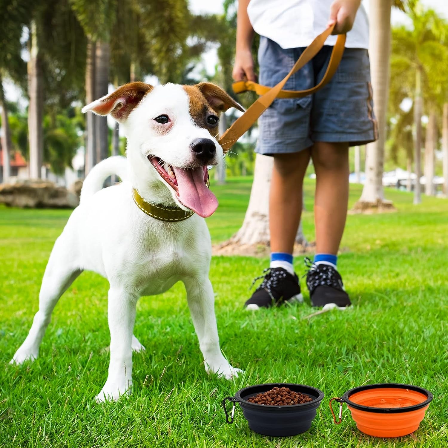 2-pack-small-dog-travel-bowl-collapsible-bowls-for-dogs-foldable-cat-water-bowl-portable-pet-feeding-watering-traveling-dish-black-orange