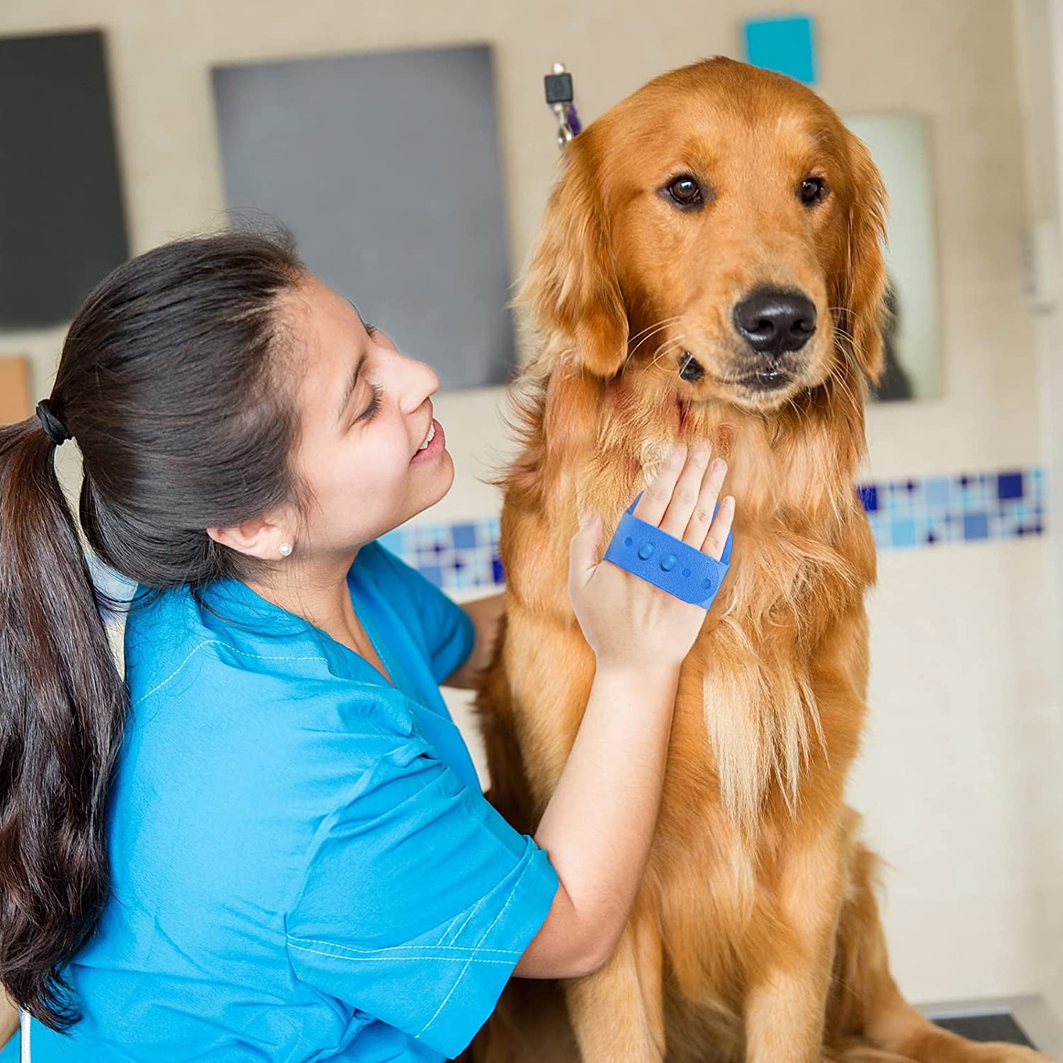 dog-grooming-brush-lilpep-pet-shampoo-bath-brush-soothing-massage-rubber-comb-with-adjustable-ring-handle-for-long-short-haired-dogs-and-cats-blue-green-pack-of-2