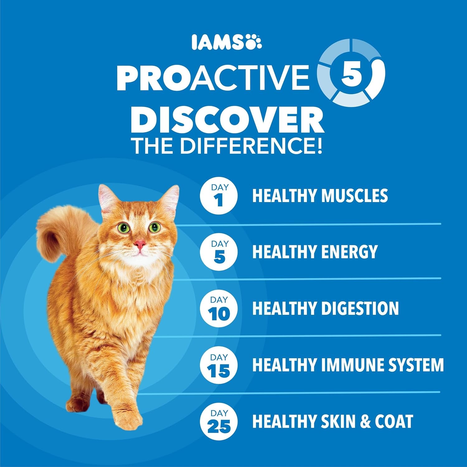 iams-proactive-health-healthy-weight-dry-cat-food-chicken-3-5-lb-veterinarian-recommended-real-chicken-1-ingredient-protein-fiber-blend-for-weight-management-supports-healthy-energy
