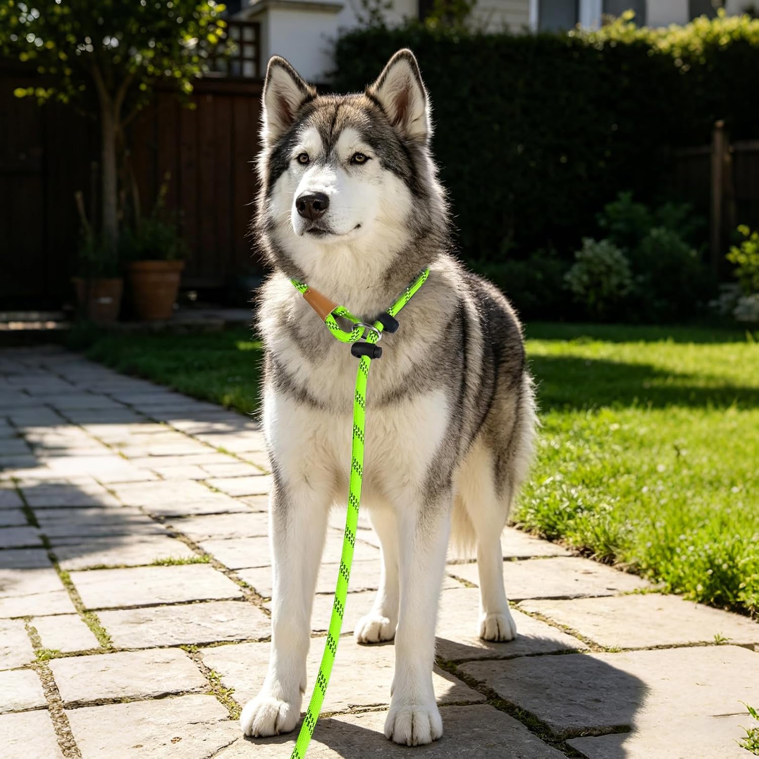lynxking-slip-lead-dog-leash-reflective-heavy-duty-comfortable-strong-rope-for-large-medium-small-dogs-no-pull-pet-training-light-green-large-1-2in-x-6ft-slip-lead