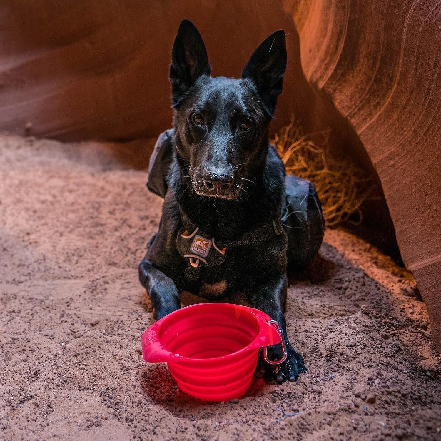 kurgo-collaps-a-bowl-barn-red-collapsible-travel-dog-bowl-holds-up-to-24oz-food-grade-silicone-pvc-bpa-free-dishwasher-safe-includes-carabiner-clip