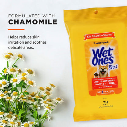 Wet Ones for Pets Paw and Tushie Dog Wipes, Tropical Splash, 30 Count | Chamomile-Infused Wipes, Wet-Lock Seal, Tropical Splash Scent, Paws and Butt Cleanup2
