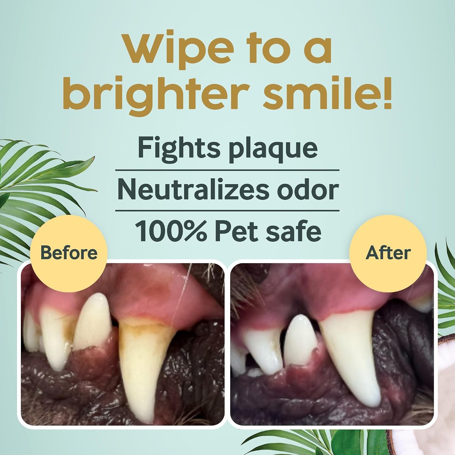 cocopup-dog-cat-dental-wipes-coconut-oil-finger-toothbrush-cleaner-coconut-oil-infused-finger-wipes-for-dogs-and-cats-helps-clean-teeth-freshen-breath-and-wipe-ears-nose-paws-and-fur