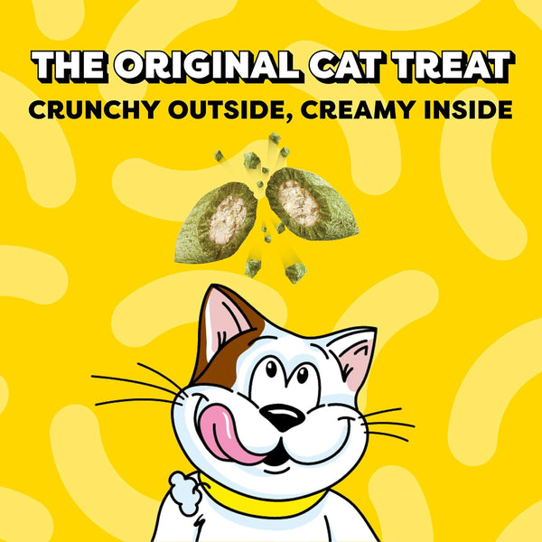 Temptations Classic Crunchy Cat Treats, Blissful Catnip, 16 Oz | under 2 Calories per Treat, Crunchy outside & Soft Inside, Resealable Tub, Snack or Food Topper, 100% Complete & Balanced2
