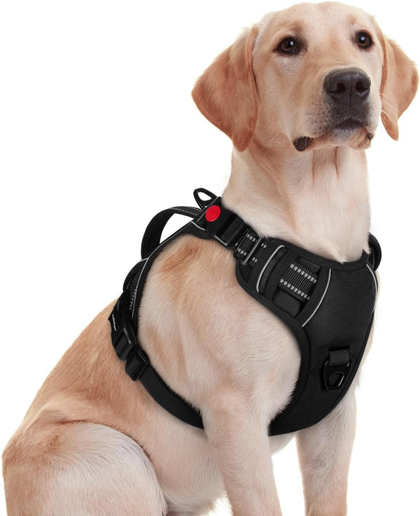 Rabbitgoo Large Dog Harness, Easy Wear with 3 Buckles and Lift Handle | No Pull with Front Clip for Walking, Adjustable Soft Padded, Reflective, Easy Control, Pink, Large23