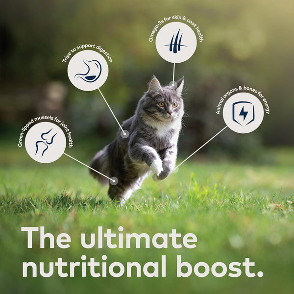 ZIWI Peak Wet Cat Food Variety Pack - Beef, Chicken, Lamb, Mackerel & Lamb, Mackerel, Venison, 6 Pack (3Oz Each)4