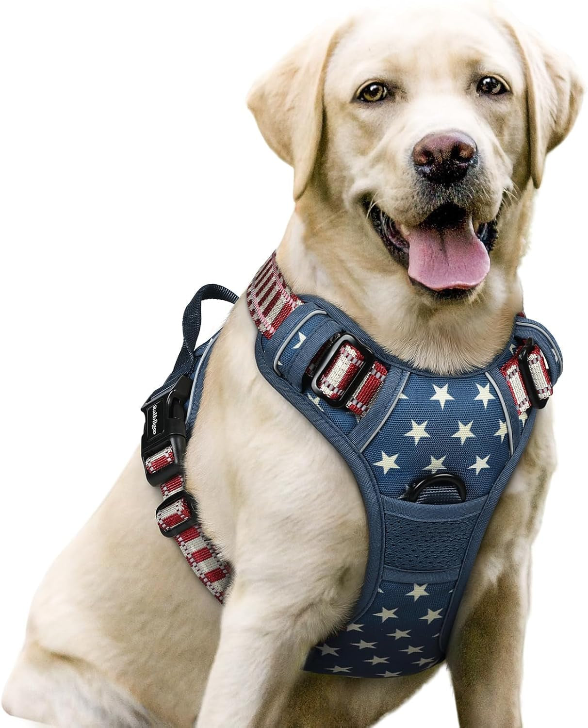 rabbitgoo-dog-harness-no-pull-for-large-dogs-with-2-leash-clips-pet-vest-no-choke-with-handle-adjustable-soft-padded-reflective-easy-control-for-walking-black-large