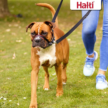 Halti Optifit Headcollar Size Medium & Halti Training Leash Size Large, Black Combination Pack - Stop Your Dog Pulling on the Leash. Adjustable with Padded Nose Band. Suitable for Medium Dogs6