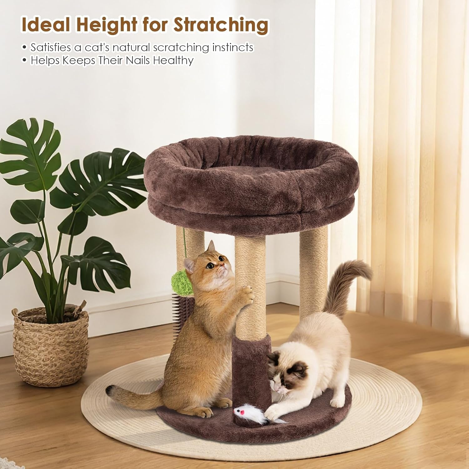 21-tall-cat-scratching-post-with-plush-cat-bed-stable-cat-tree-for-indoor-cats-interactive-toy-grooming-brush-included
