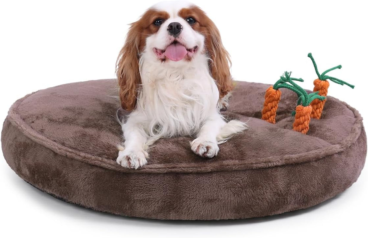 ksiia-puppy-bed-for-small-dogs-28-inch-washable-calming-plush-round-dog-bed-with-carrot-chew-toy-orthopedic-support-anti-anxiety-non-slip-base-for-puppies-cats-green