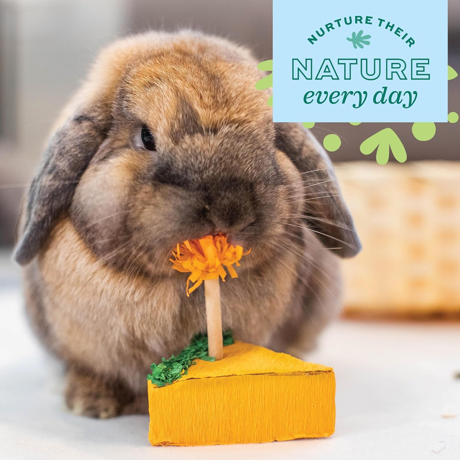 oxbow-birthday-party-pack-rabbit-guinea-pig-toys-bunny-enrichment-toys-rabbit-chew-toys-guinea-pig-enrichment-guinea-pig-chew-toys-rabbit-enrichment-natural-materials-small-pet-accessories