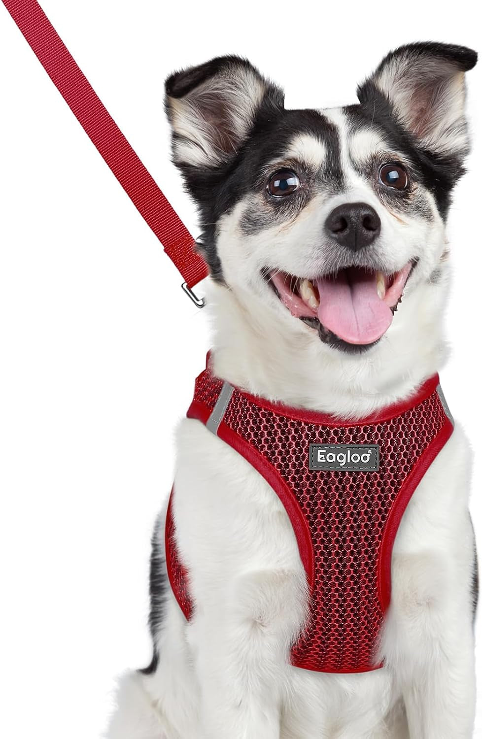 eagloo-small-dog-harness-and-leash-set-step-in-small-sized-puppy-pet-vest-light-soft-breathable-air-mesh-easy-on-and-off-with-hook-loop-reflective-for-safe-walking-pink-s