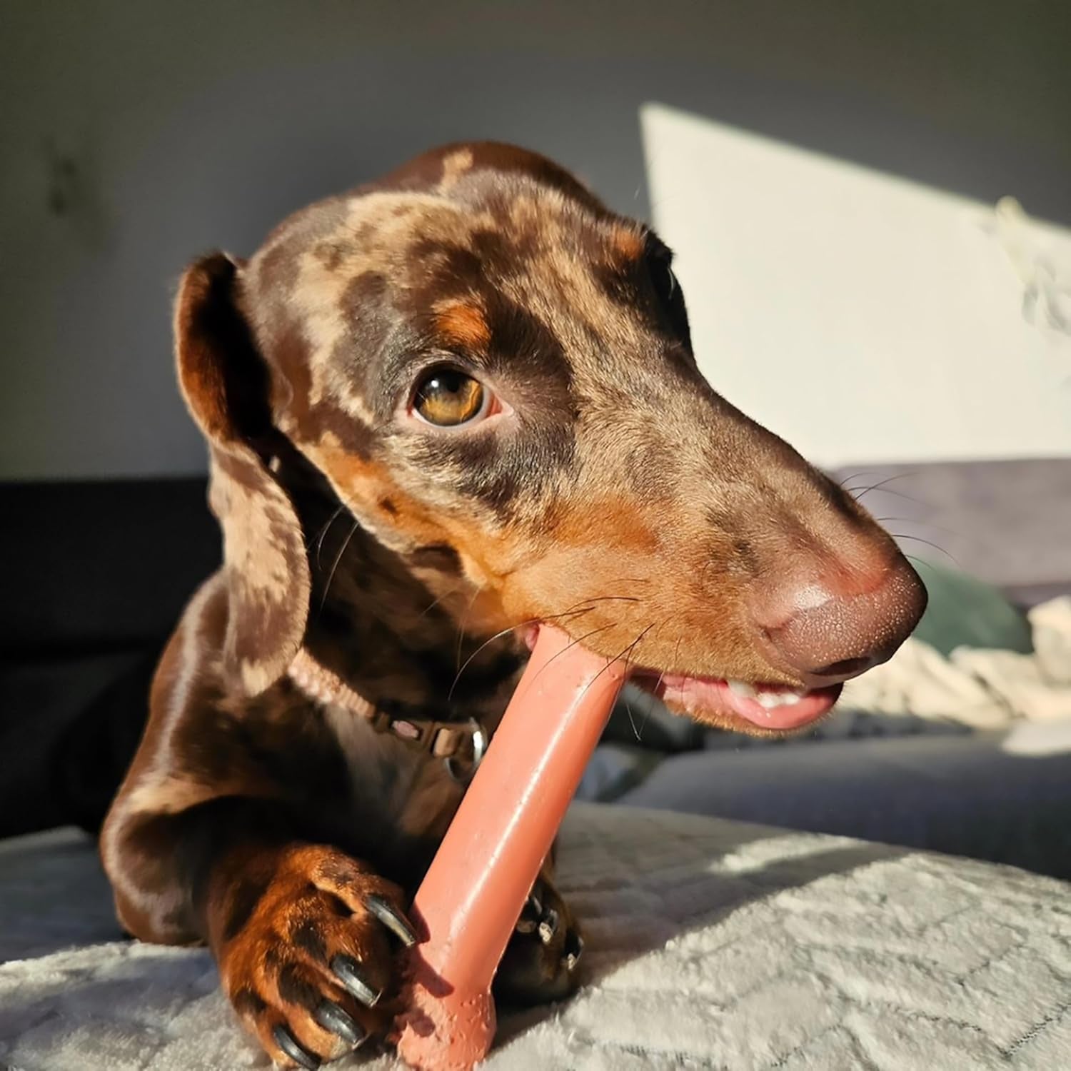 nylabone-power-chew-original-bone-dog-chew-toys-medium-2-count-chicken-and-bacon-flavor-durable-chew-toys-discourages-destructive-chewing-long-lasting-for-dogs-up-to-35-pounds
