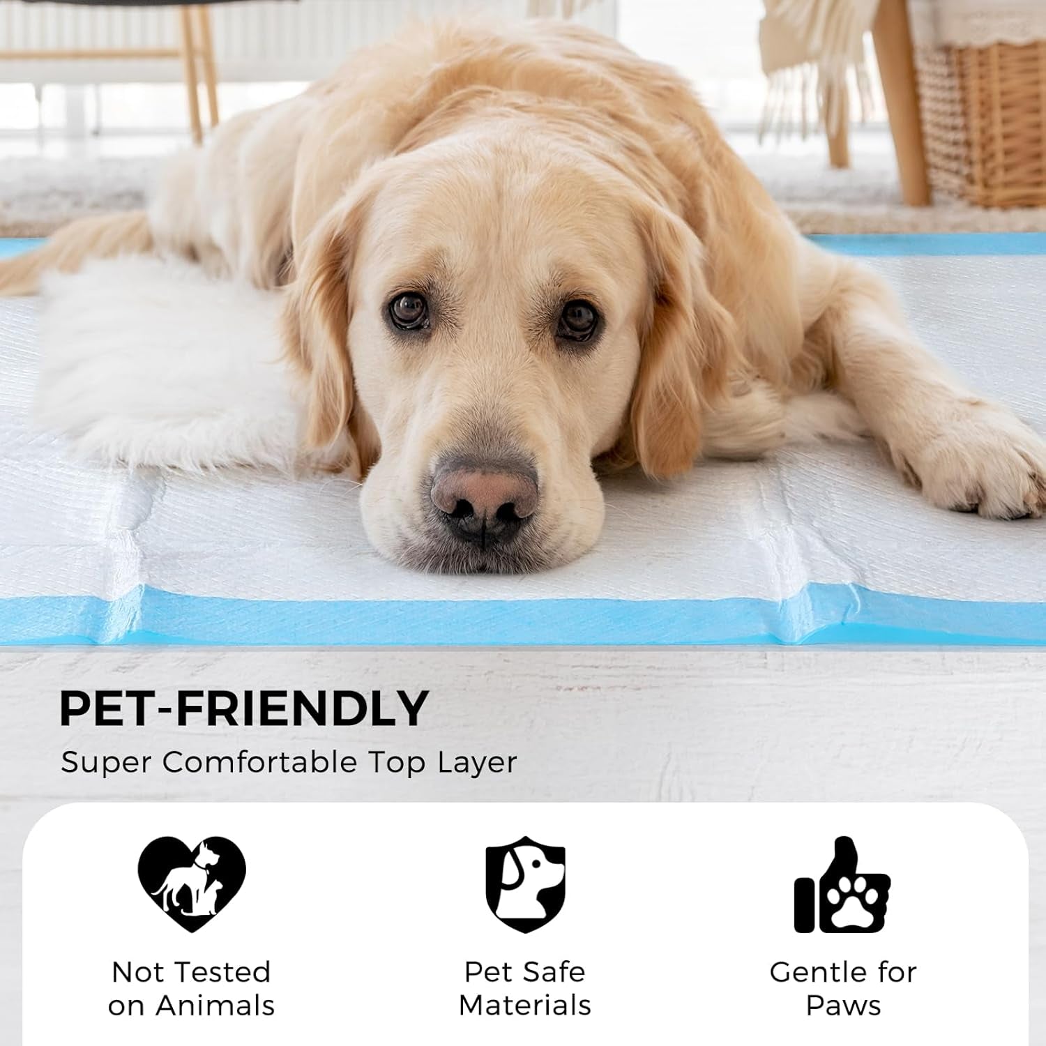 50-pack-30x36-extra-large-dog-pee-pads-super-absorbent-leak-proof-disposable-puppy-training-pads-x-large-quick-dry-5-layer-protection-piddle-pads-for-indoor-outdoor-use