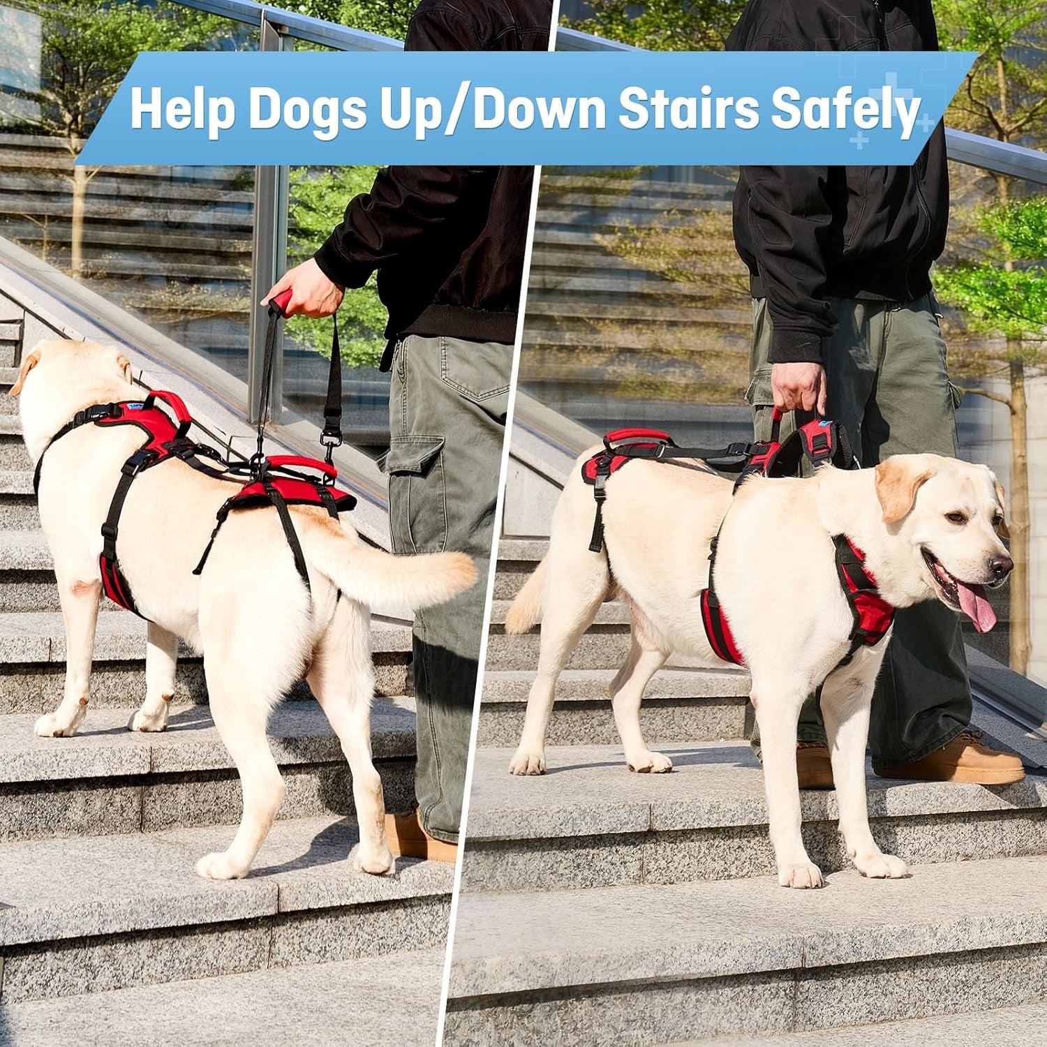 dog-lifting-harness-for-medium-dogs-dual-handle-dog-support-harness-for-daily-walking-assistance-male-dog-friendly-breathable-easy-on-mobility-aid-red-m