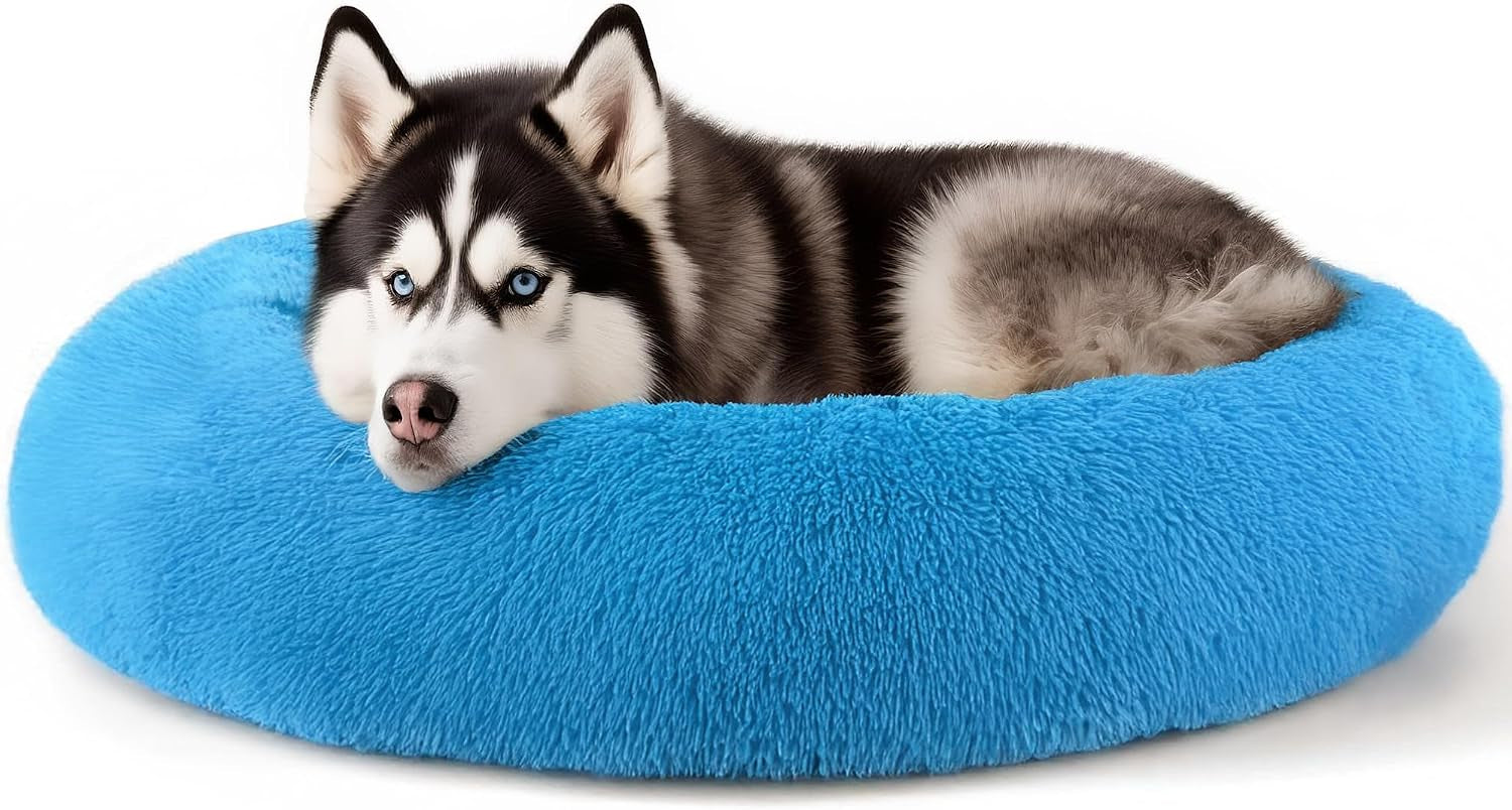 hoewina-dog-cat-bed-for-indoor-cats-20in-calming-donut-bed-for-puppy-and-kitten-washable-round-fluffy-pet-bed-for-small-medium-dogs-and-cats-light-grey