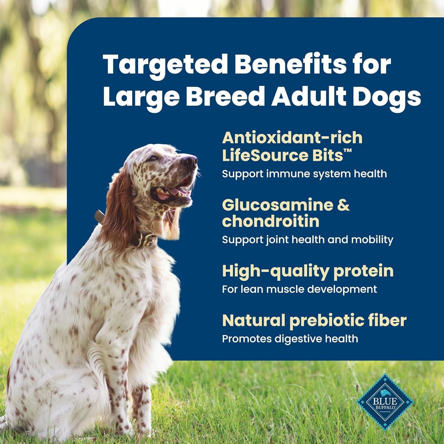 blue-buffalo-life-protection-formula-chicken-large-adult-dog-food-30-lb-real-chicken-1-ingredient-antioxidant-rich-lifesource-bits-glucosamine-supports-joint-health-mobility-in-large-breeds