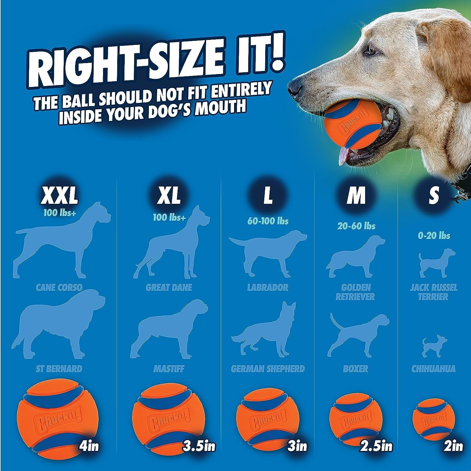 chuckit-pro-26l-dog-ball-launcher-26-length-includes-large-ball-3-for-dogs-60-100-pounds