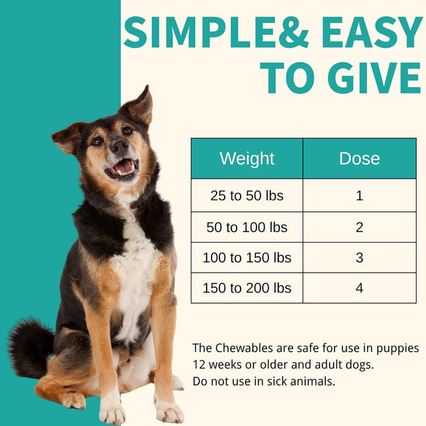 Pyrantel Pamoate and Praziquantel De-Wormer Tablet for Medium and Large Dogs, Chewable Formula4