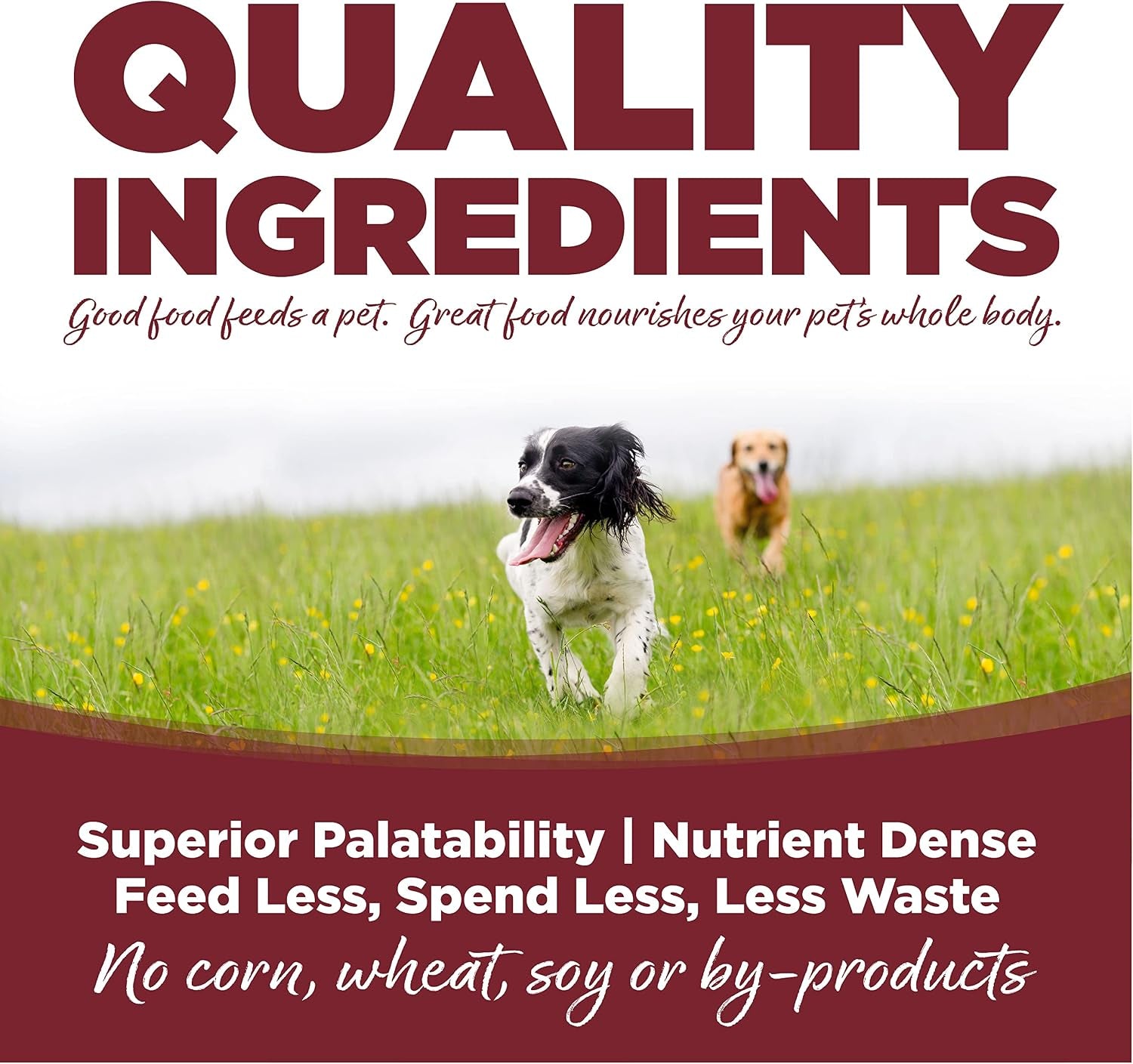 nutrisource-adult-dry-dog-food-beef-rice-26-lb-probiotic-prebiotic-digestive-support-healthy-skin-coat-no-corn-wheat-or-soy