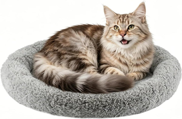 LESYPET Cat Bed for Indoor Cats, Soft Cat Cushion with Cat Pillow Around, Rectangle Kitten Pad Small Bed for Window Sill, 15'' X 10''10