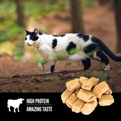 ORIJEN Freeze Dried Cat Treats Regional Red, 1.25Oz Bag | 99% Animal Ingredients, Freeze Dried, Grain Free, High Protein, 1 Calorie Each, Ideal for Training, Nutrients Locked In3