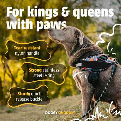 DOGGYKINGDOM No Choke Dog Harness with Handle and Patch Panels, Adjustable Reflective Dog Vest for Small Sized Dog, Blue, S5