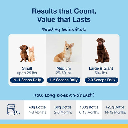 Proden Plaqueoff Powder for Dogs - Dog Tartar and Plaque Remover - 60G | VOHC Accepted Dental Powder for Pet Oral Care - Supports Fresher Breath and Dental Hygiene - 100% Natural Kelp Formula6