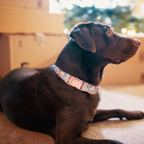 Dog Collar and Leash Set Girls Adjustable Puppy Collars with Floral Bow Tie for Small Medium Large Female Dogs, Orange Flower, S5