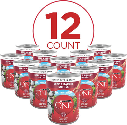 Purina ONE Natural Wet Dog Food Gravy, Tender Cuts in Gravy Beef and Barley Entrée - 13 Ounce (Pack of 12)5