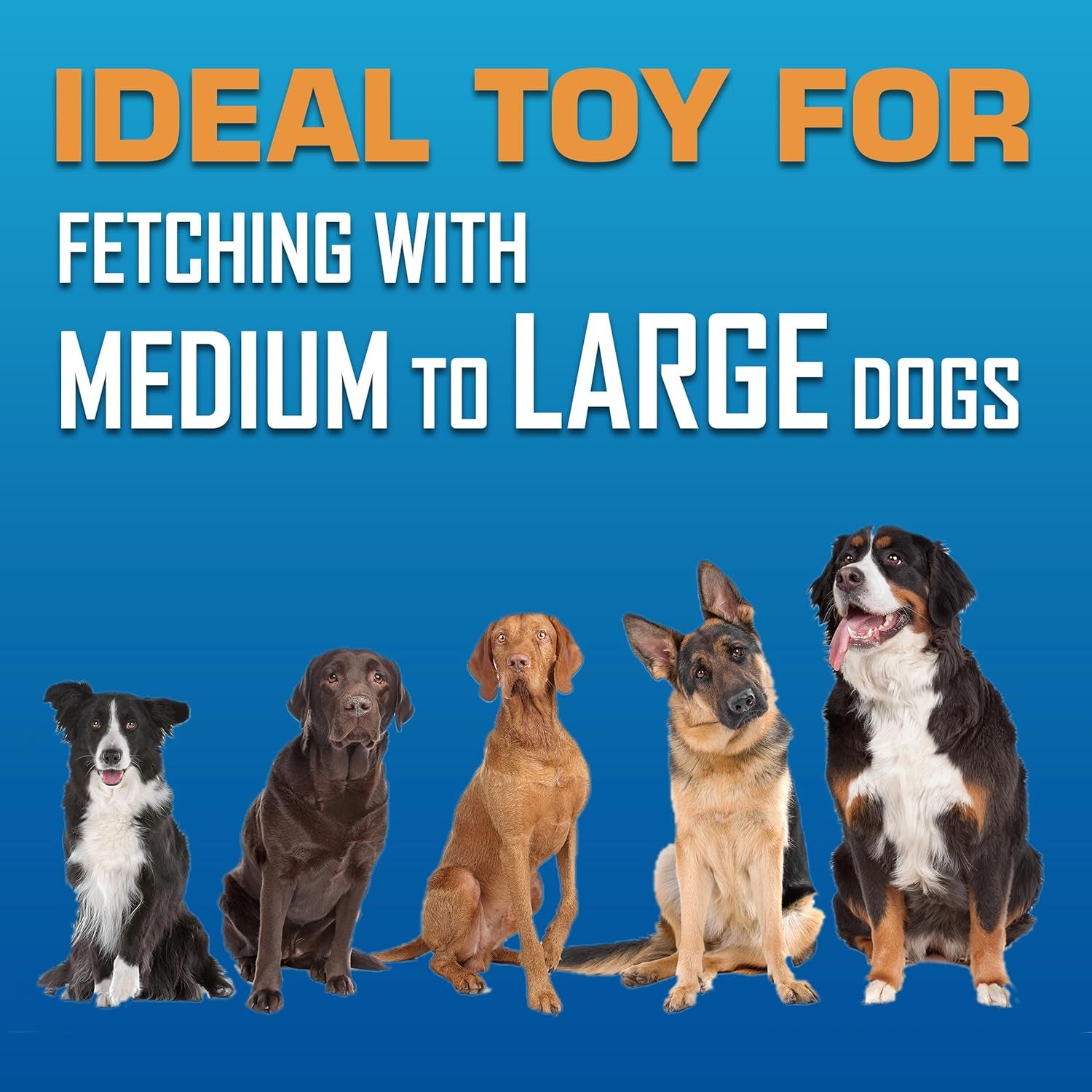 nerf-dog-atomic-flyer-outdoor-dog-toy-10-inch-flying-disc-dog-fetch-toy-rubber-dog-toy-for-medium-dogs-and-large-dogs-orange