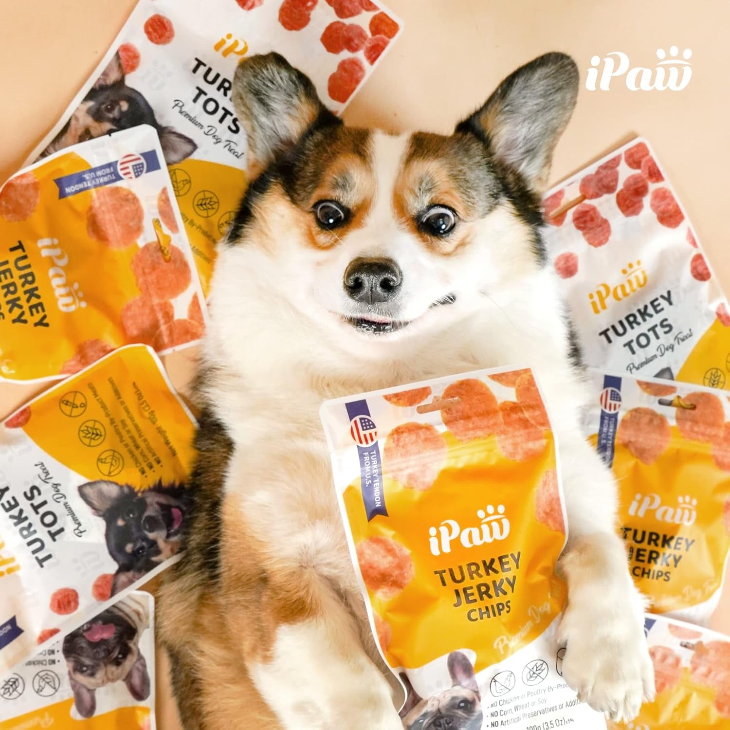ipaw-chicken-tots-dog-treat-sqf-certified-production-process-training-treat-puppy-training-human-grade-training-reward-hypoallergenic-easy-to-digest
