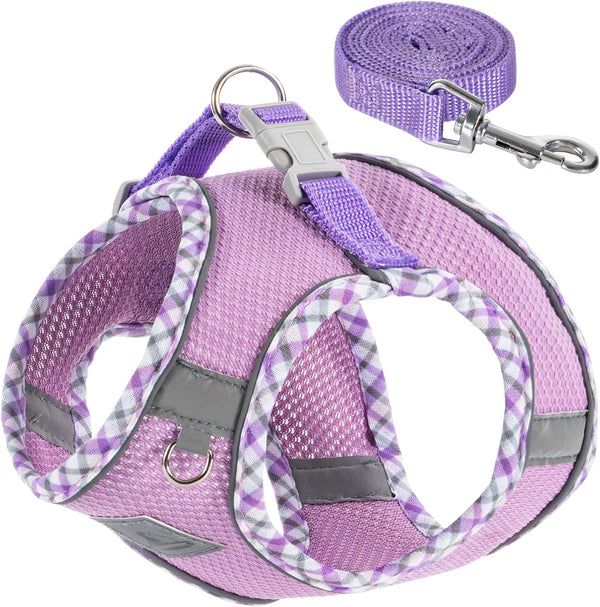 Dog Harness & Leash Set - No Pull Soft Breathable Small Dog Harness, Adjustable Reflective Step-In Vest for Puppy, Kitten, Cats1