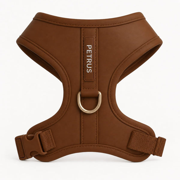 Premium No-Pull Dog Harness Soft Neoprene & Breathable Mesh Vest with Front & Back Clip D-Rings Adjustable Lightweight Walking Harness for Puppies, Small & Medium Dogs (Bronze Brown Gold, M)1