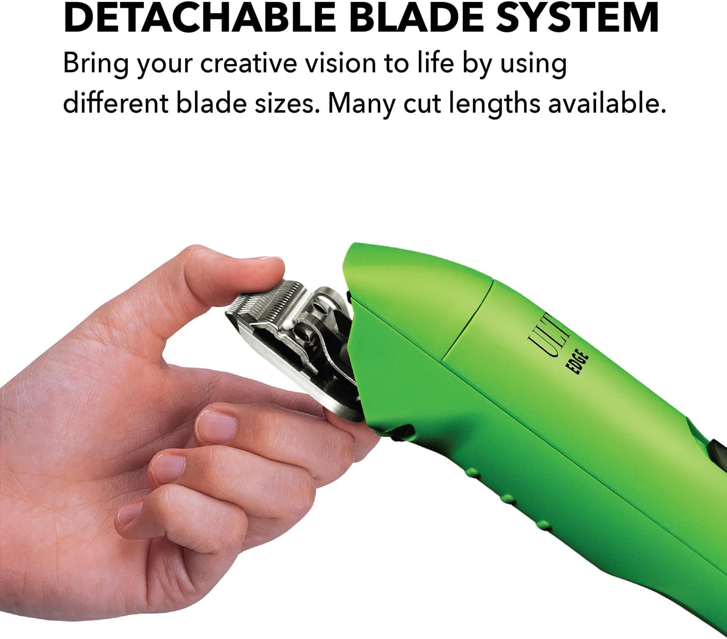 andis-professional-ultraedge-super-2-speed-detachable-blade-dog-pet-clipper-rotary-motor-with-shatter-proof-housing-runs-calm-silent-14-inch-cord-for-all-dog-coats-breeds-120-volts-green