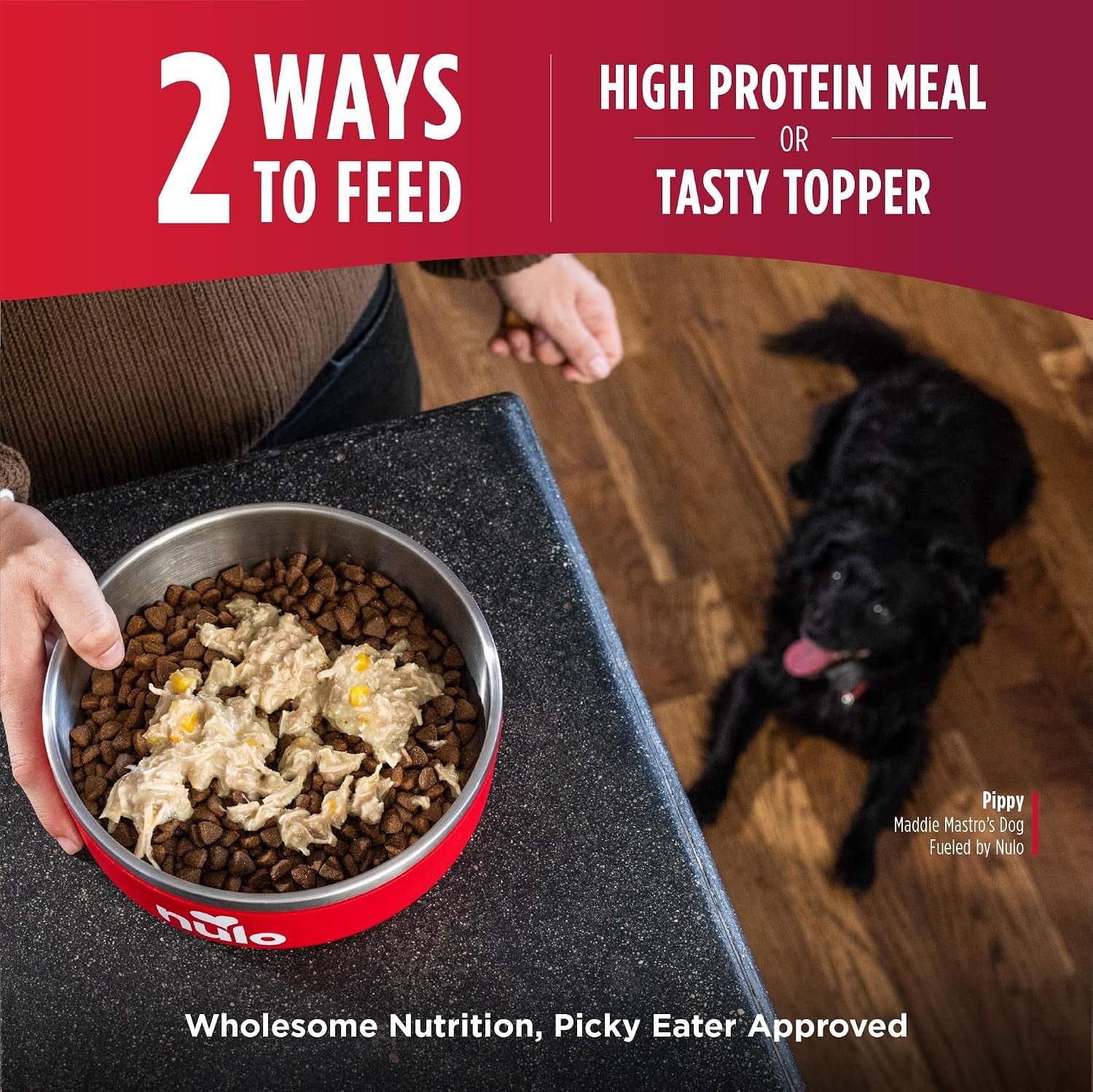 nulo-signature-stews-variety-pack-small-breed-wet-dog-food-2-8-oz-pack-of-12