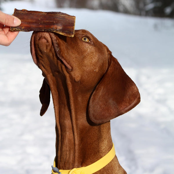 Cadet 100% Real Beef Strips Dog Treats, 8 Oz | Single Ingredient Beef Esophagus Dog Jerky, Healthy High Protein Dog Bones, Rawhide Alternative, for Small & Large Dogs4