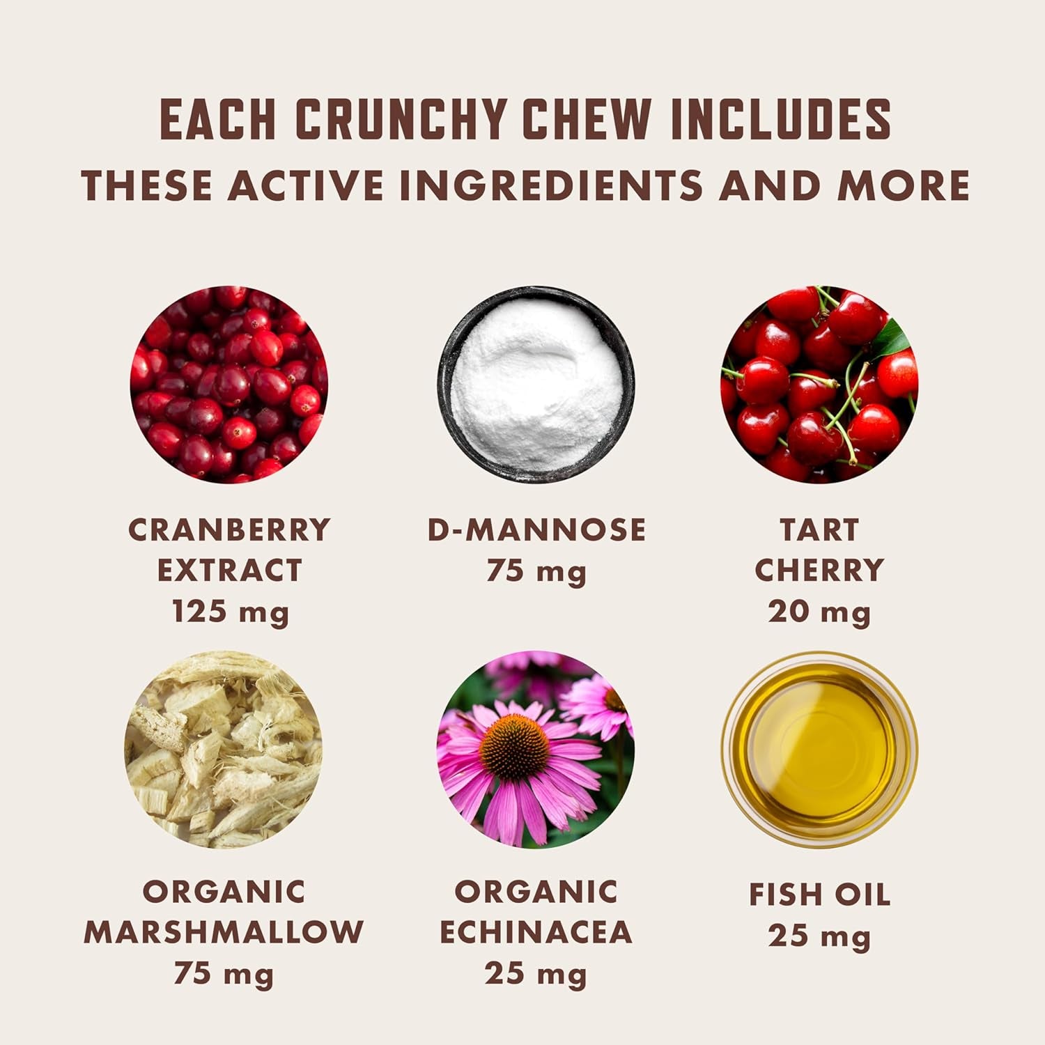 rocco-roxie-cat-urinary-tract-health-chews-cranberry-d-mannose-bladder-ut-kidney-support-cranberry-d-mannose-chicken-flavor-crunchy-chews-vet-recommended-made-in-usa