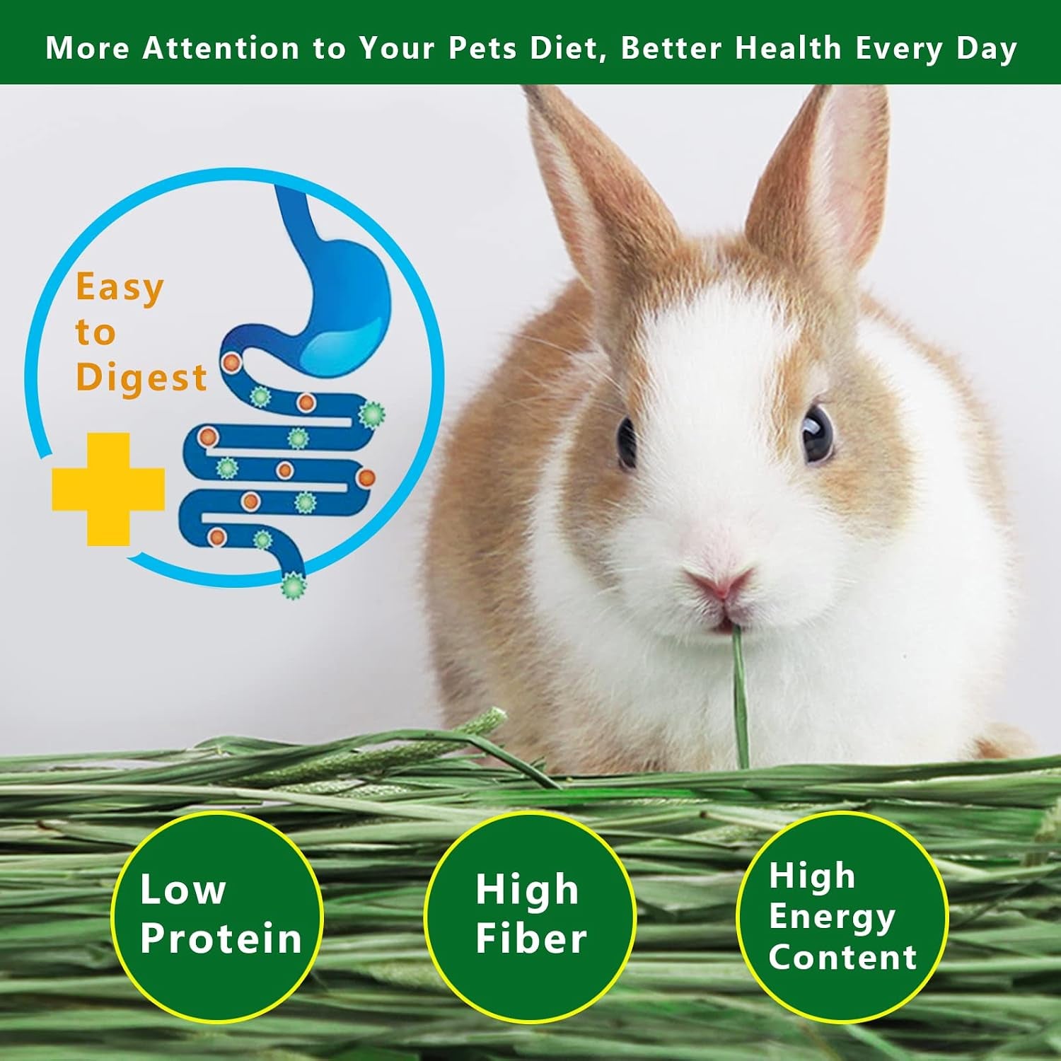 timothy-hay-2-2lbs-small-pet-feed-premium-dust-free-natural-fresh-timothy-hay-for-rabbits-tortoises-guinea-pigs-chinchillas-2-packs-of-1-1lbs-each