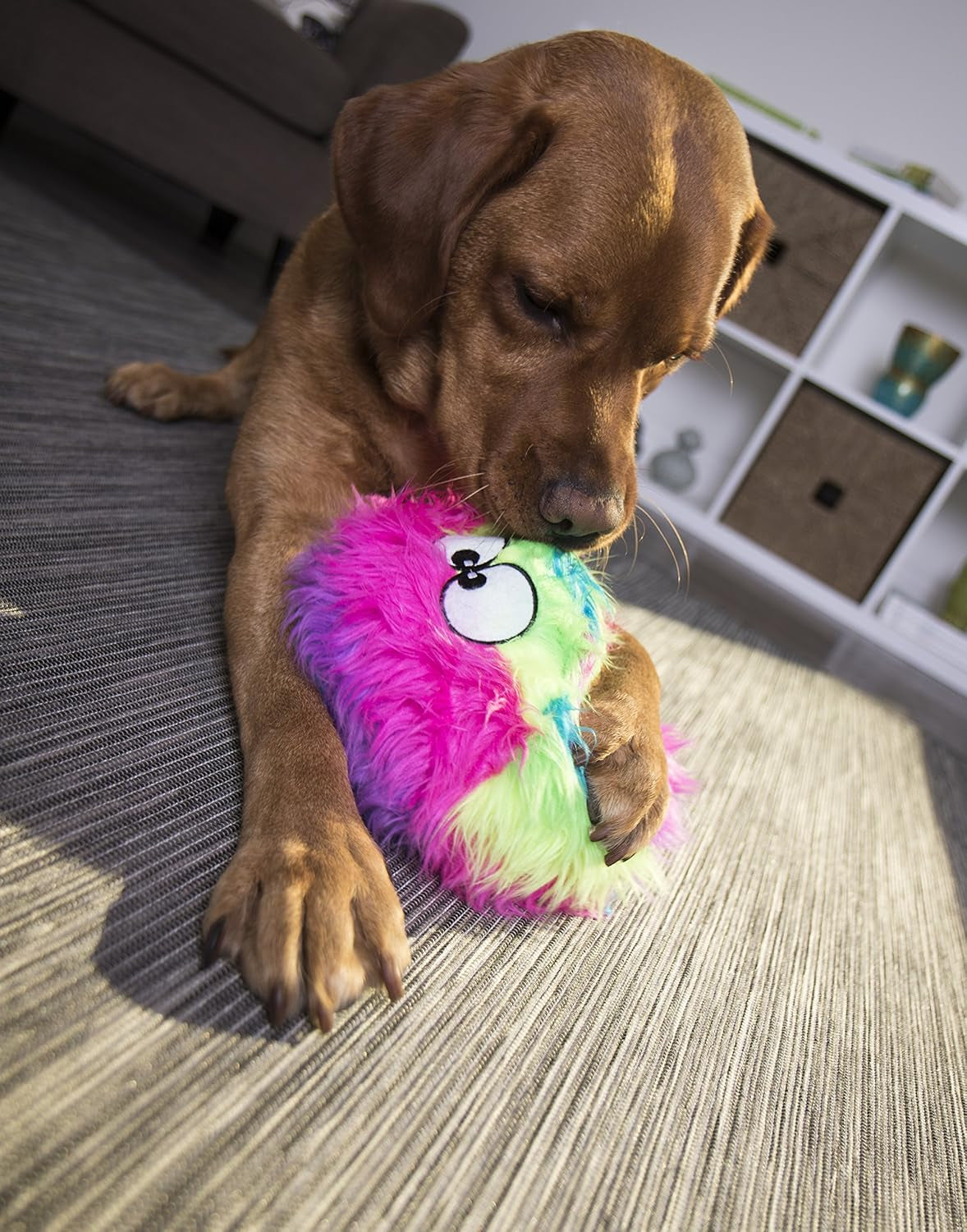 godog-furballz-squeaky-plush-ball-dog-toy-chew-guard-technology-rainbow-large