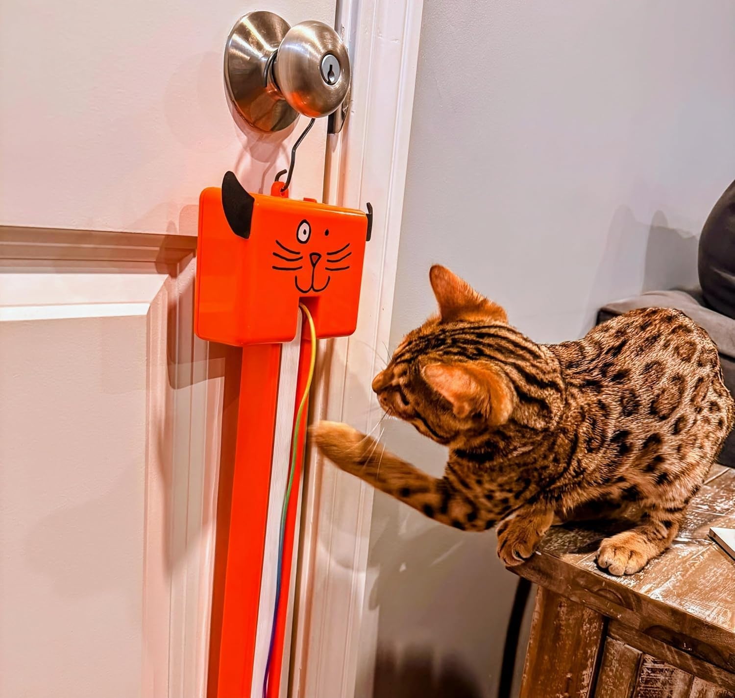 moody-pet-interactive-cat-toy-for-indoor-cats-fling-ama-string-automatic-moving-flying-string-toy-for-cats-battery-operated-door-hanging-exercise-toy-for-kittens-adult-cats